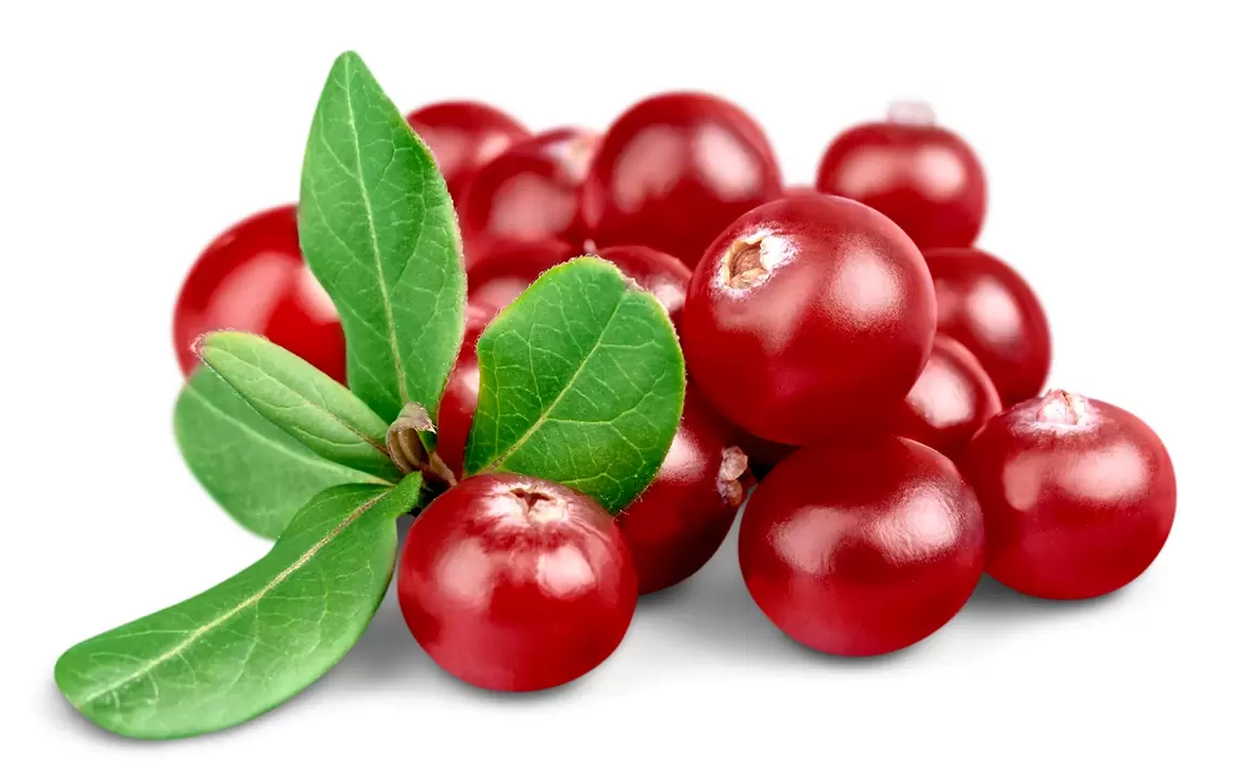 Cranberries in urosaf capsules